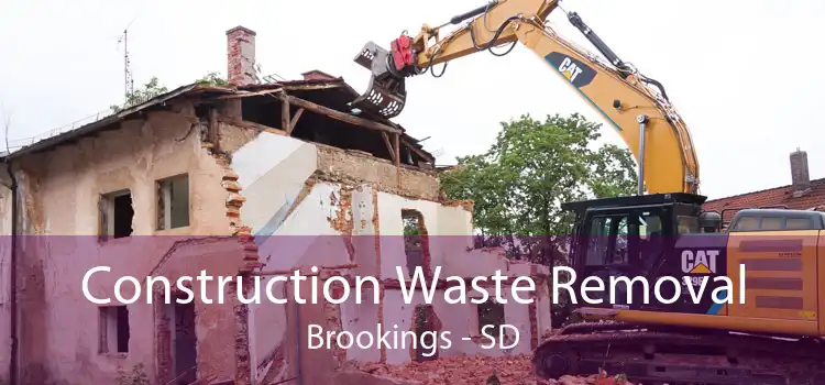 Construction Waste Removal Brookings - SD