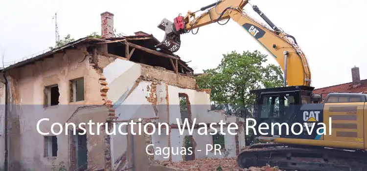 Construction Waste Removal Caguas - PR