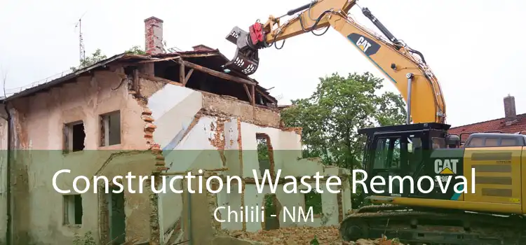 Construction Waste Removal Chilili - NM