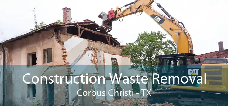 Construction Waste Removal Corpus Christi - TX