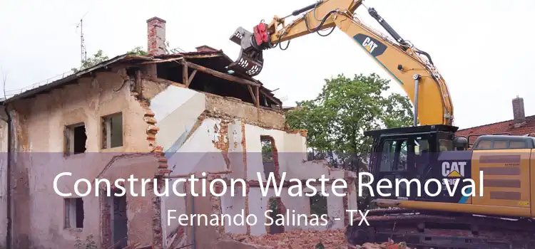 Construction Waste Removal Fernando Salinas - TX