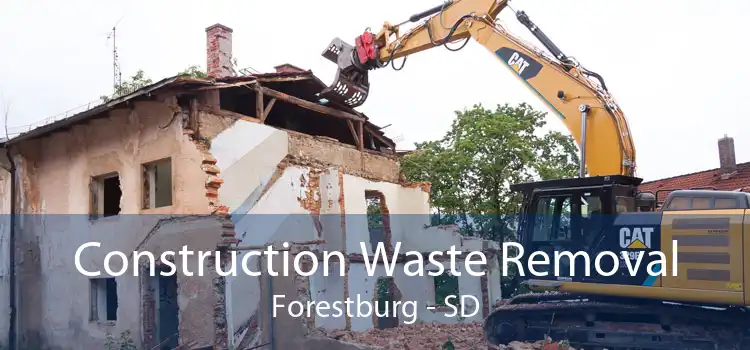 Construction Waste Removal Forestburg - SD