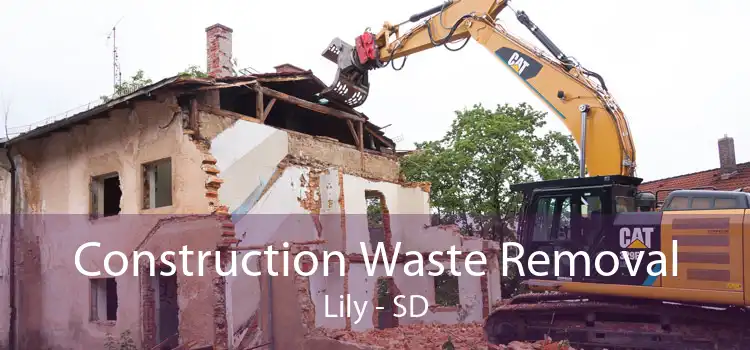 Construction Waste Removal Lily - SD