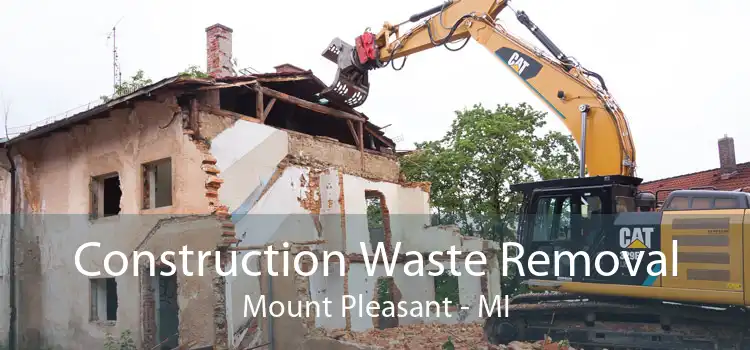 Construction Waste Removal Mount Pleasant - MI