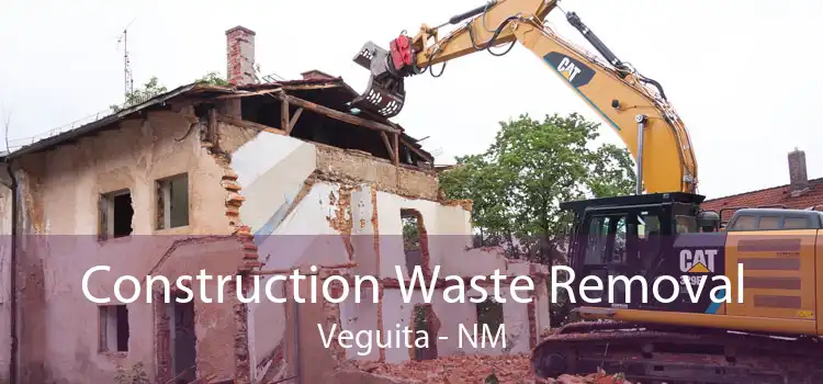 Construction Waste Removal Veguita - NM