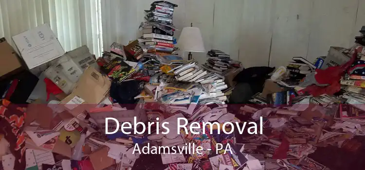 Debris Removal Adamsville - PA