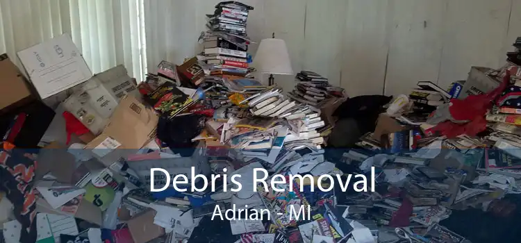 Debris Removal Adrian - MI
