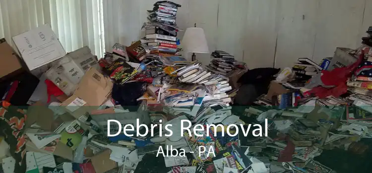 Debris Removal Alba - PA