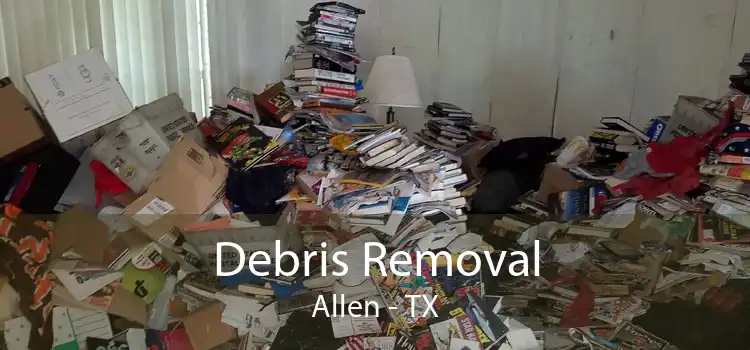 Debris Removal Allen - TX