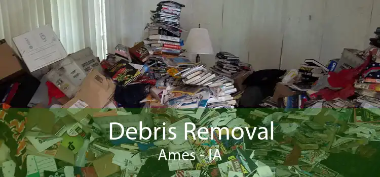Debris Removal Ames - IA