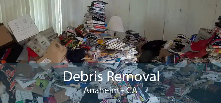 Debris Removal Anaheim - CA