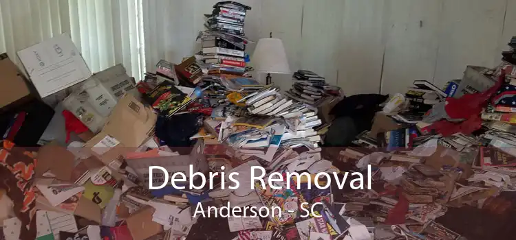 Debris Removal Anderson - SC