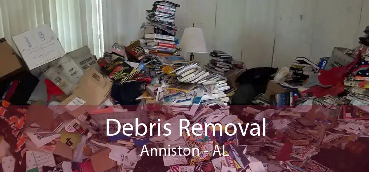 Debris Removal Anniston - AL