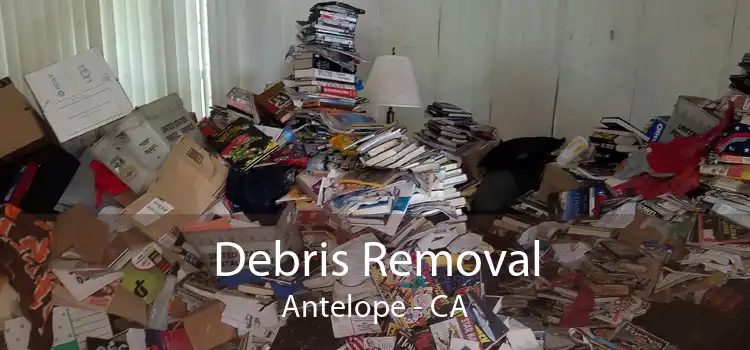 Debris Removal Antelope - CA