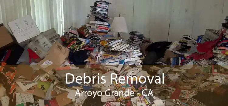 Debris Removal Arroyo Grande - CA