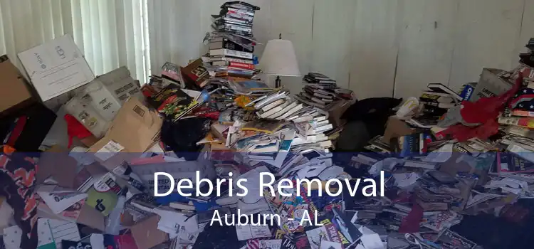 Debris Removal Auburn - AL