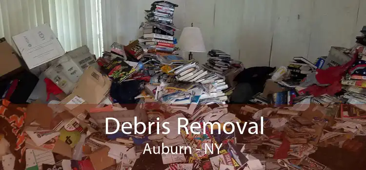 Debris Removal Auburn - NY