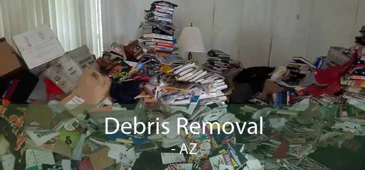 Debris Removal  - AZ