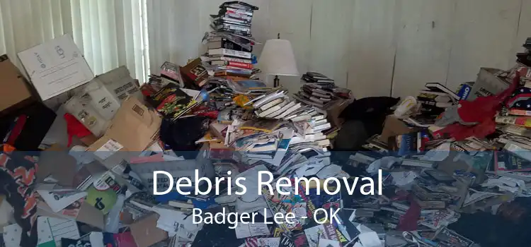 Debris Removal Badger Lee - OK