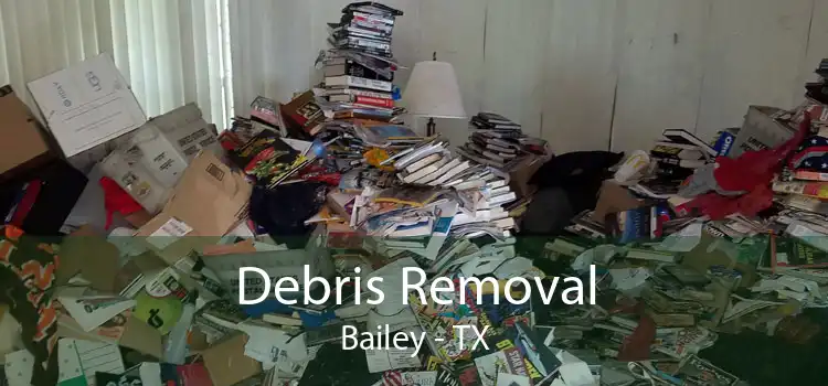 Debris Removal Bailey - TX
