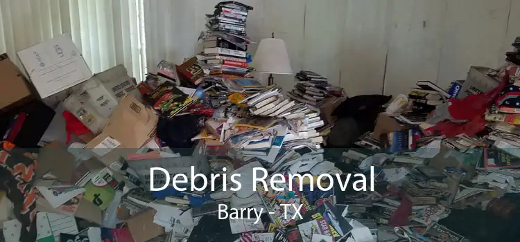 Debris Removal Barry - TX