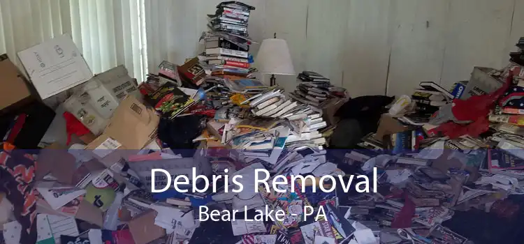 Debris Removal Bear Lake - PA