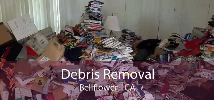 Debris Removal Bellflower - CA