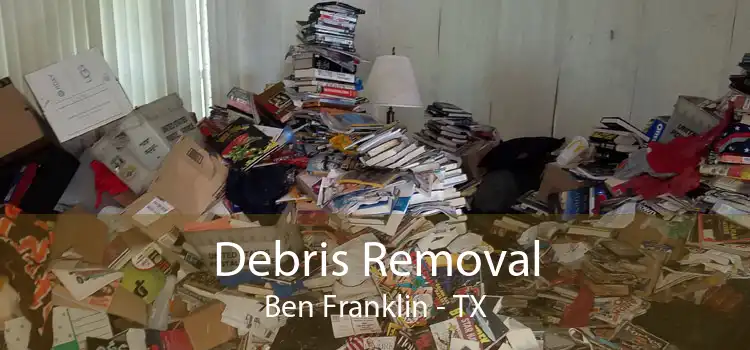 Debris Removal Ben Franklin - TX