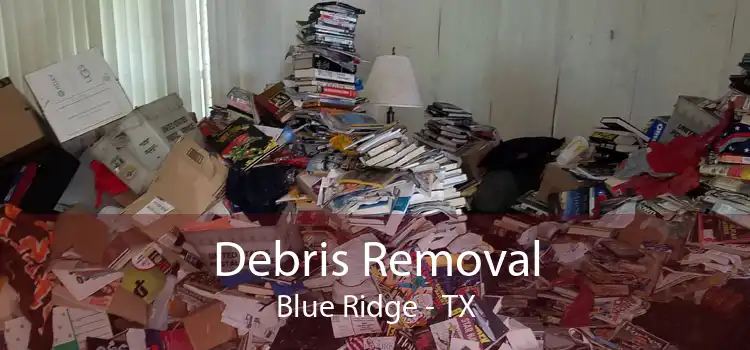 Debris Removal Blue Ridge - TX