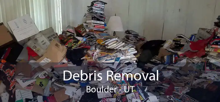 Debris Removal Boulder - UT