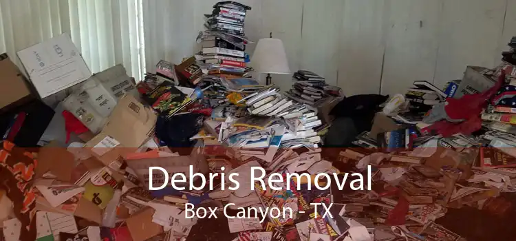 Debris Removal Box Canyon - TX