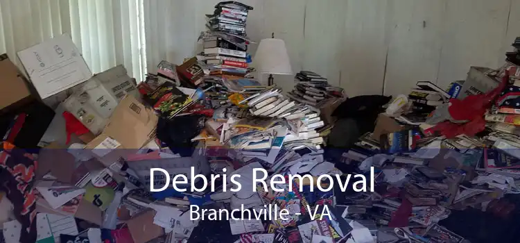 Debris Removal Branchville - VA