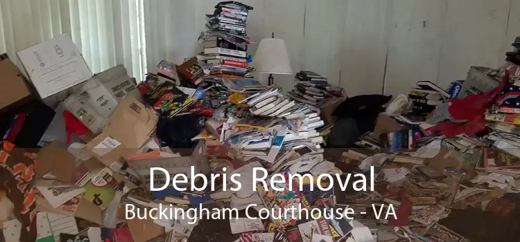 Debris Removal Buckingham Courthouse - VA