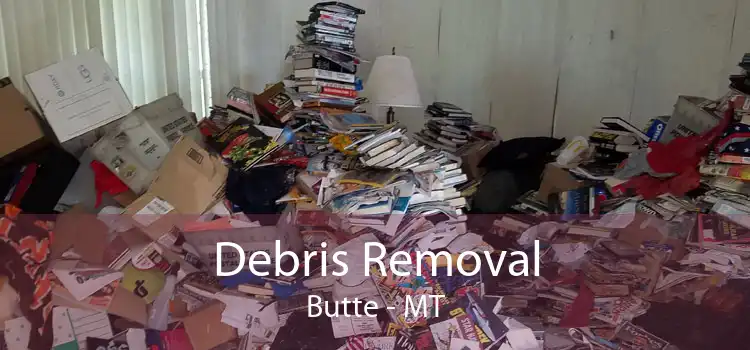 Debris Removal Butte - MT