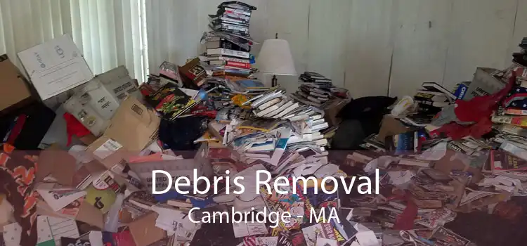 Debris Removal Cambridge - MA