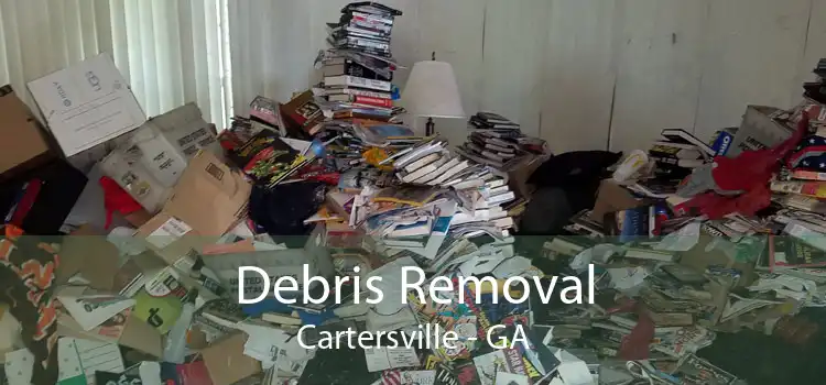 Debris Removal Cartersville - GA