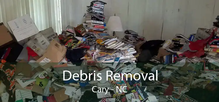 Debris Removal Cary - NC