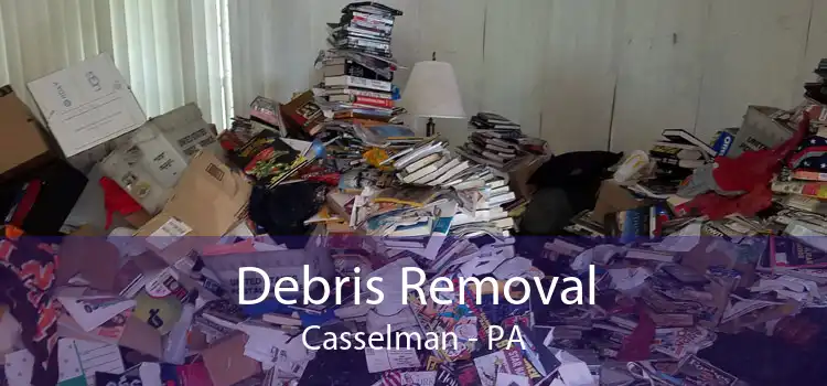 Debris Removal Casselman - PA