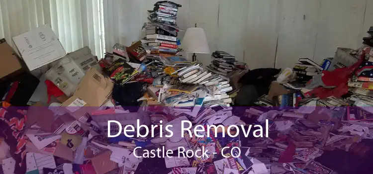 Debris Removal Castle Rock - CO