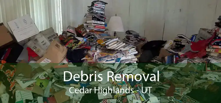 Debris Removal Cedar Highlands - UT