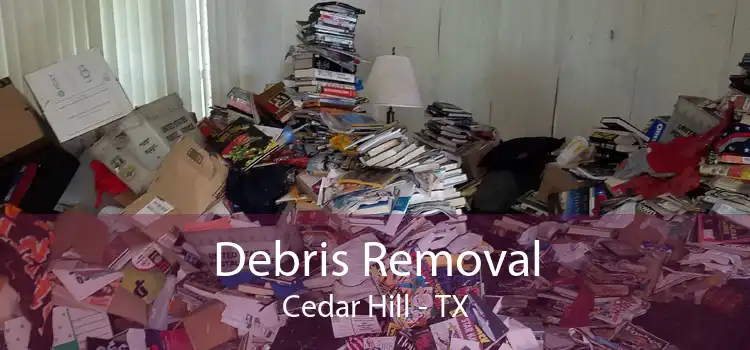 Debris Removal Cedar Hill - TX