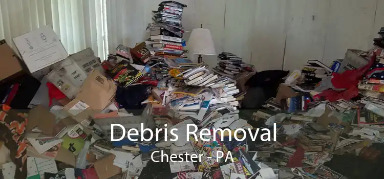 Debris Removal Chester - PA