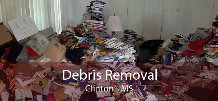 Debris Removal Clinton - MS