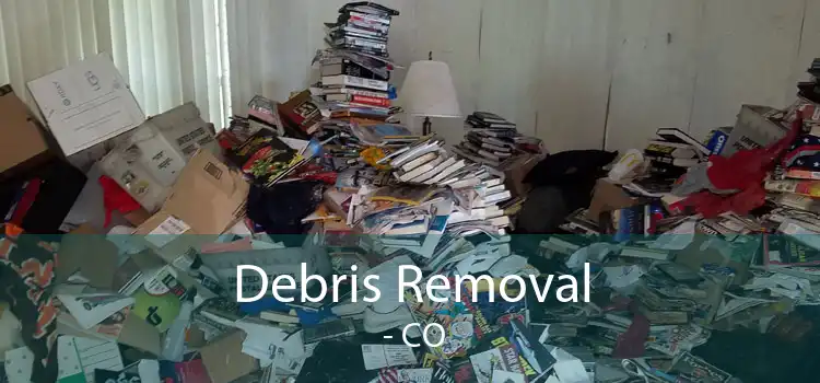 Debris Removal  - CO