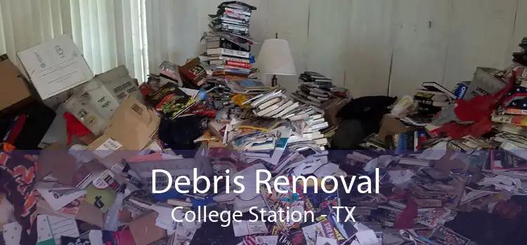 Debris Removal College Station - TX