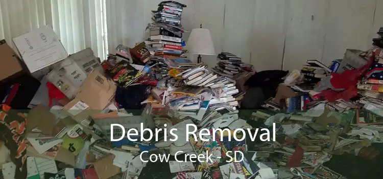 Debris Removal Cow Creek - SD