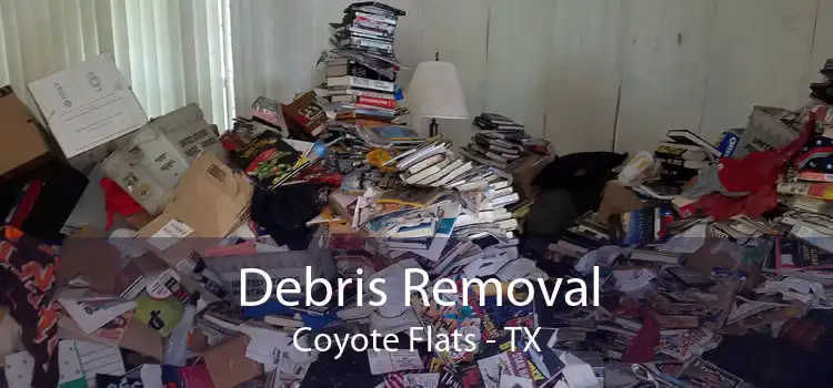 Debris Removal Coyote Flats - TX