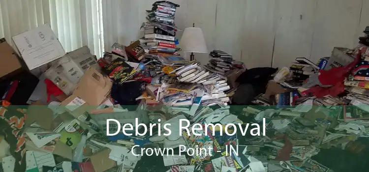 Debris Removal Crown Point - IN