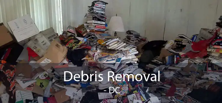 Debris Removal  - DC