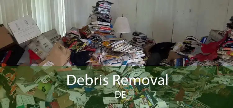 Debris Removal  - DE